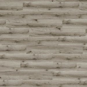 MM CoreForces 30+ - Aurora