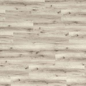 MM CoreForces 50+ - Carpo