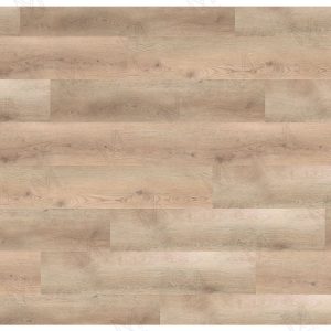 MM CoreForces 50+ - Cupid