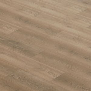 MM North America - Bug/Hollow