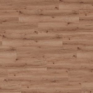 MM CoreForces 50+ - Pulsar