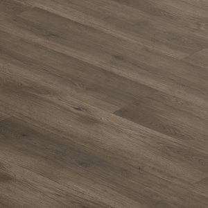 MM North America - Bankster/Relentless